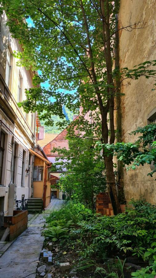 Ferienwohnung Zeiss House Brașov Exterior foto